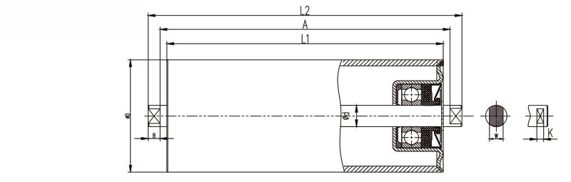 Conveyor Roller