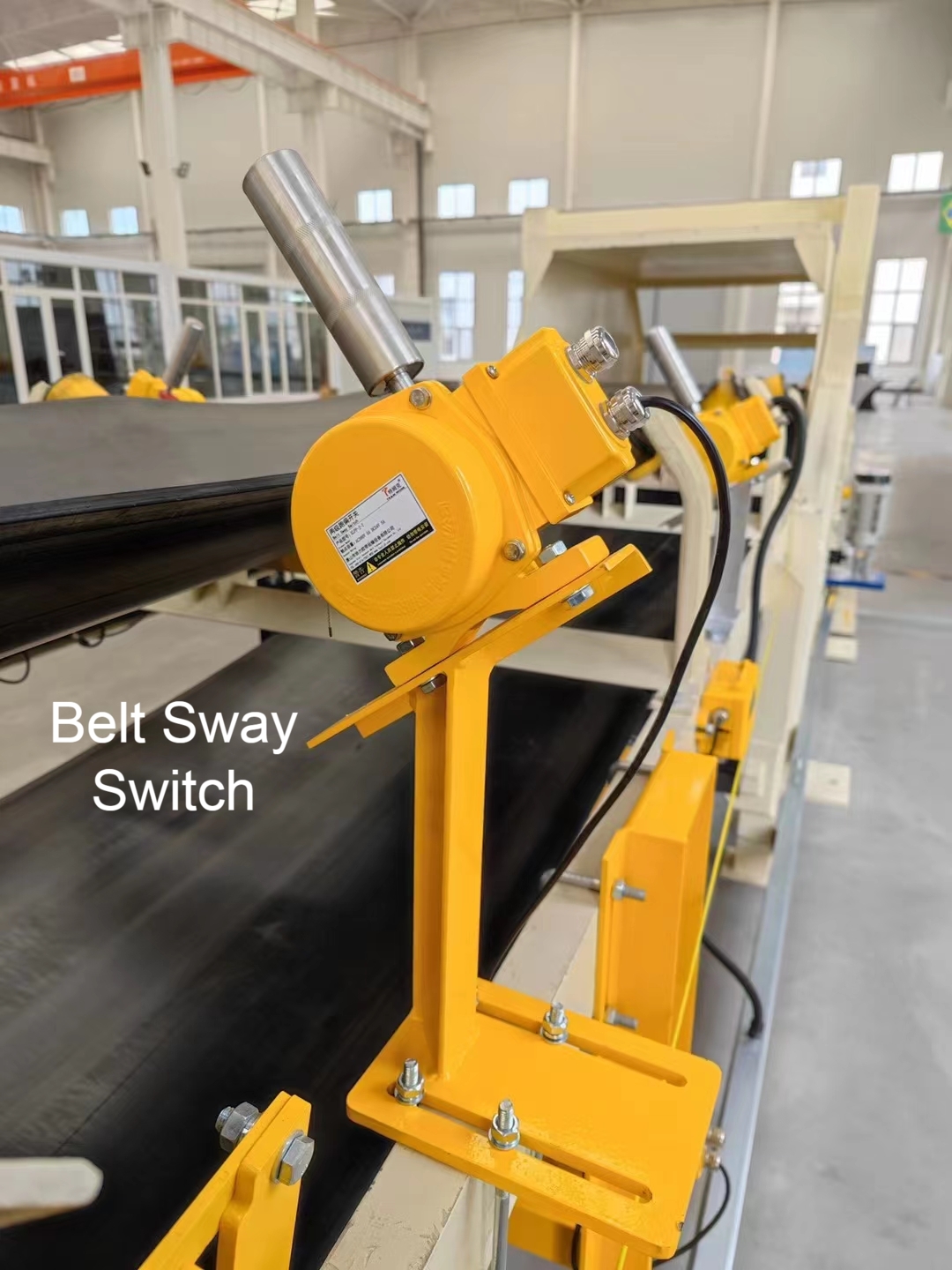 Belt Sway Switch