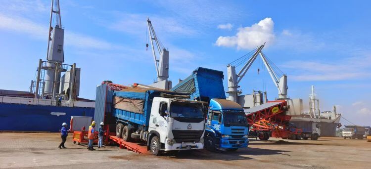 truck unloader system