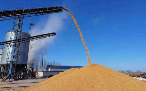 Portable Mobile Truck Unloader for Small Farms: Is It Worth It?