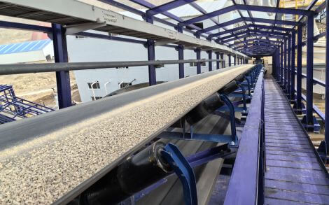 High-Reliability Conveying System Solutions for Specialized Industries