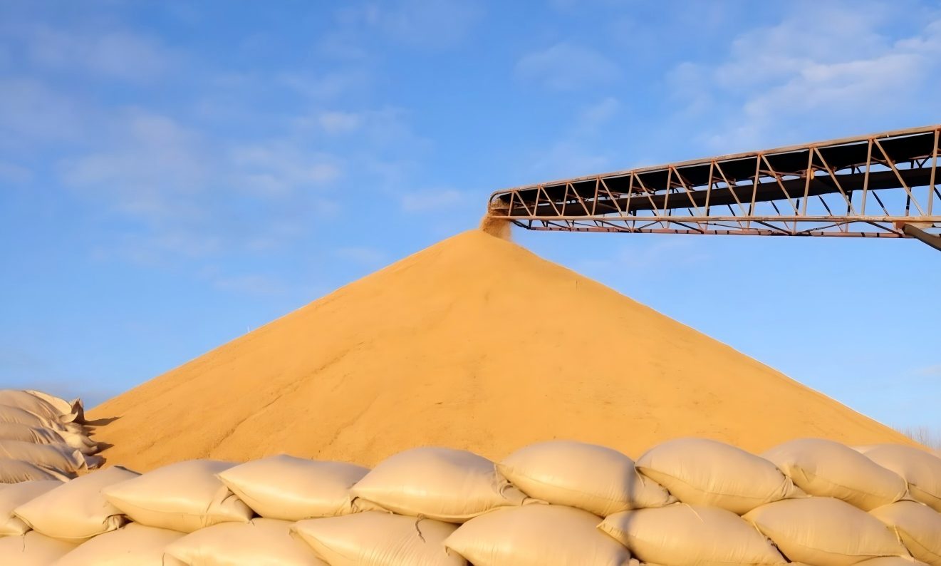 Grain Handling Conveyor Solutions | Grain Stackers & Ship Loaders | ZOOMRY