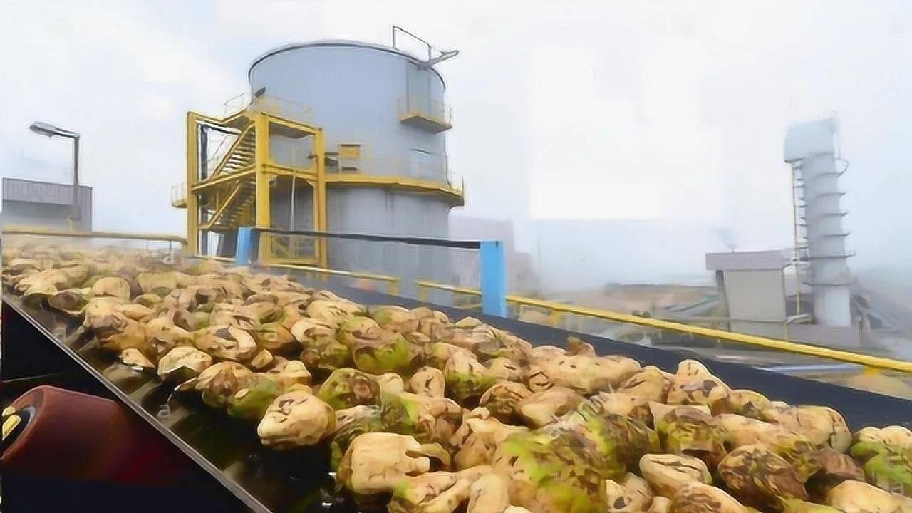 Sugar Handling Conveyor Solutions | Enclosed Sugar Conveyors & Ship Loaders | ZOOMRY