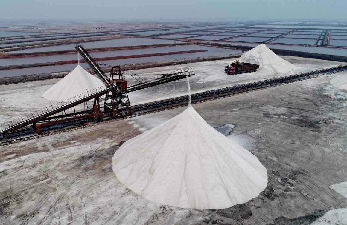 Salt Handling Conveyor Solutions | Corrosion-Resistant Salt Conveyors | ZOOMRY