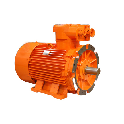 Explosion-Proof Motor