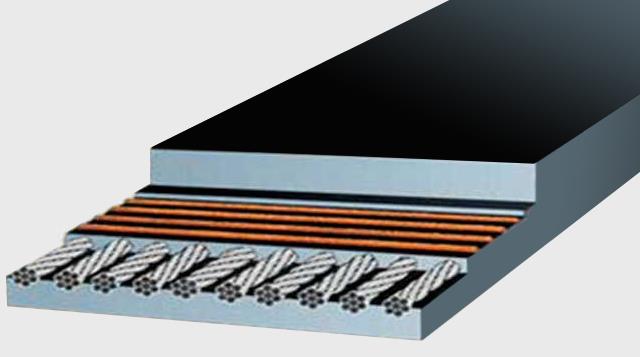 Steel cord conveyor belt